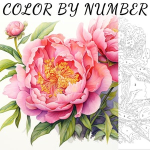 Color By Number, Paint By Number, Paint Number Adult, Coloring Numbered, Color By Number For Adults, Flower Coloring