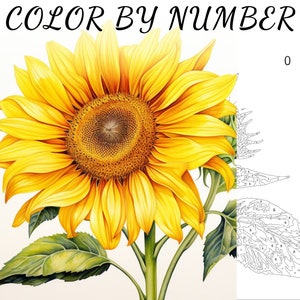 Kleur op nummer, verf op nummer, verfnummer volwassene, kleur genummerd, kleur op nummer voor volwassenen, bloemkleuring