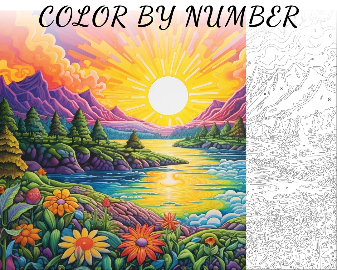 Color by Number Paint by Number Paint Number Adult Coloring Etsy