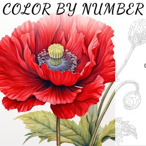 Color By Number, Paint By Number, Paint Number Adult, Coloring Numbered, Color By Number For Adults, Flower Coloring