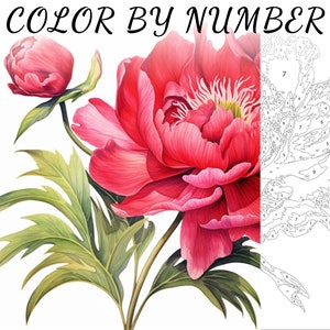 Color By Number, Paint By Number, Paint Number Adult, Coloring Numbered, Color By Number For Adults, Flower Coloring