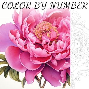 Color By Number, Paint By Number, Paint Number Adult, Coloring Numbered, Color By Number For Adults, Flower Coloring