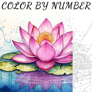 Color By Number, Paint By Number, Paint Number Adult, Coloring Numbered, Color By Number For Adults, Flower Coloring