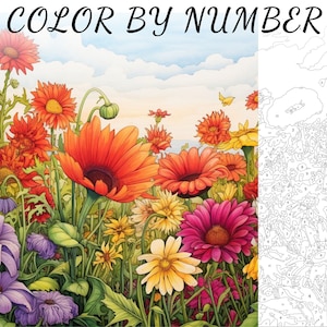 Color By Number, Paint By Number, Paint Number Adult, Coloring Numbered, Color By Number For Adults, Flower Coloring