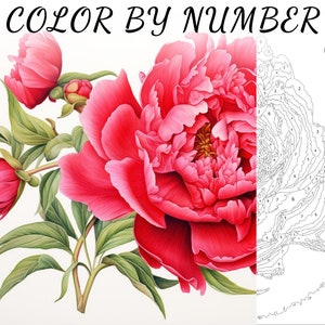 Color By Number, Paint By Number, Paint Number Adult, Coloring Numbered, Color By Number For Adults, Flower Coloring