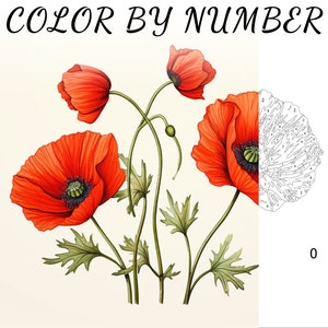 Color By Number, Paint By Number, Paint Number Adult, Coloring Numbered, Color By Number For Adults, Flower Coloring