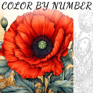 Color By Number, Paint By Number, Paint Number Adult, Coloring Numbered, Color By Number For Adults, Flower Coloring