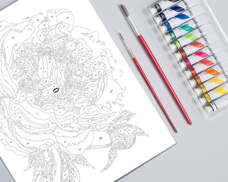 Color by Number Paint by Number Paint Number Adult Coloring Etsy