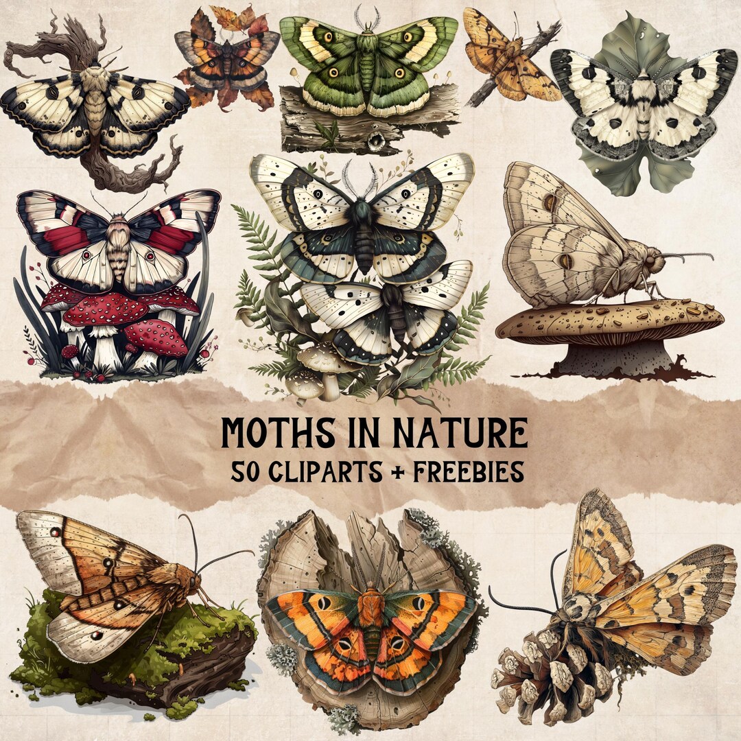 Moths in Nature Clipart & Butterfly Pngs – Forest Botanical Ephemera ...