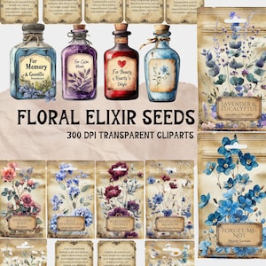 Flower Seed Packet Clipart: Vintage Apothecary Ephemera (PNG Digital Download)