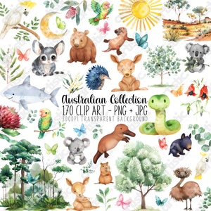 Australian Animal Clipart Bundle - 170 Watercolor PNG JPG, Boys Nursery Decor, Baby Animal Clipart, Jungle Safari Birthday