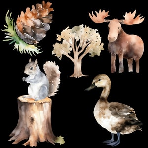 Aesthetically pleasing display of Woodland Clipart and Cute baby animals on a black background, perfect for Nursery Image files and Party Sublimation.