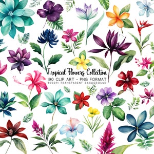 Paquete de imágenes prediseñadas de flores tropicales PNG, imágenes PNG de flores de acuarela para sublimación, gráficos para bodas y verano, descarga digital