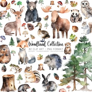 Woodland Clipart collage showcasing diverse Tree Clip art and Baby Clip art on a white background for Nursery Image files and Party Sublimation.