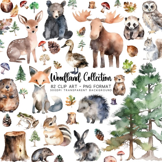 Woodland Animals Clipart: 82 PNG Image Files for Nursery (Digital Download)