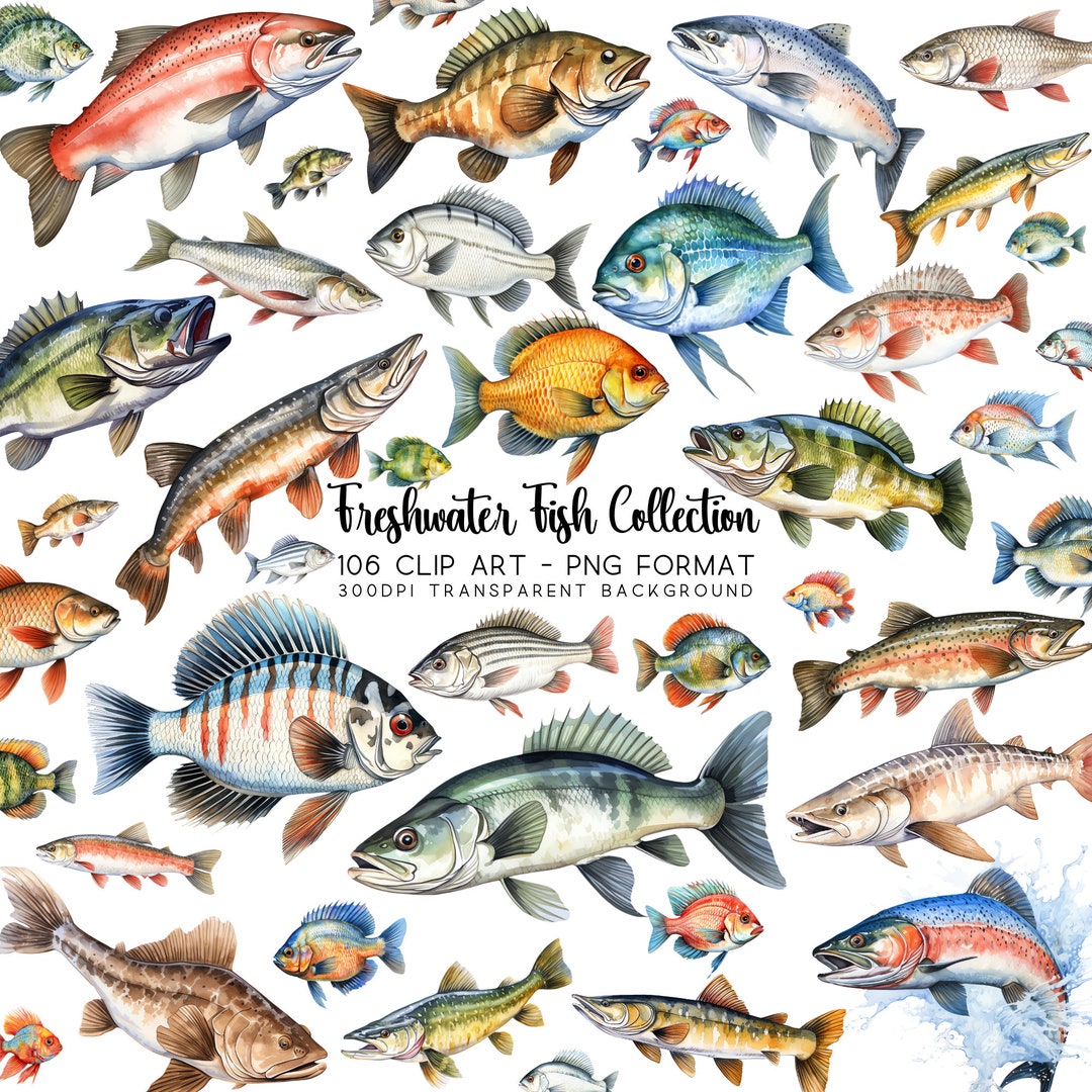 Fish Clipart Collection: 106 Fishing Clipart PNG Transparent Images
