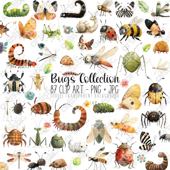 Bugs Clipart Bundle: Insect PNG Watercolor  (Digital Download)