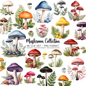 Pacote de imagens de cogumelos clipart e micologia, conjunto de clipart em aquarela de 88, PNG transparente e JPG fundo branco, arte em fungos