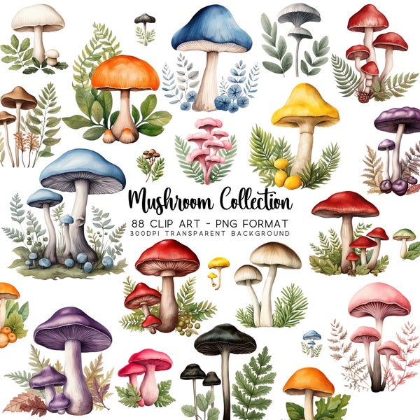 Mushroom Clipart and Mycology Image Bundle, Watercolour Clipart Set of 88, PNG Transparent and JPG White Background, Fungi Art