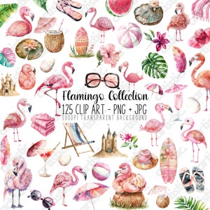 Flamingo Clipart Bundle, Watercolor Flamingos in PNG and JPG, Tropical Flowers, Whimsical Bird Clip art, Cute Flamingo, Bird T-Shirt Designs