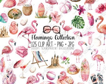 Watercolor Flamingo Clipart Bundle: Tropical Bird PNG JPG (Digital Download)