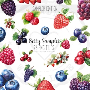 Bundle de cliparts baies - aquarelle de baies, fraise Clipart, baies sauvages PNG, Art Blackberry, Clipart de fruits d'été, graphiques pour gourmets