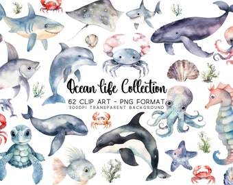 Paquete de imágenes prediseñadas de animales marinos en acuarela: imágenes PNG de vida marina (descarga digital)