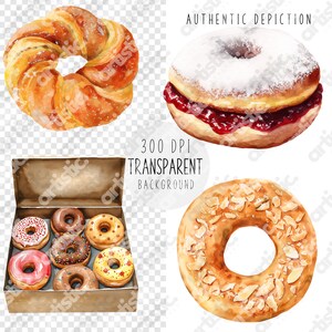 High-resolution clipart of glazed and sugar-coated donuts with a transparent background.