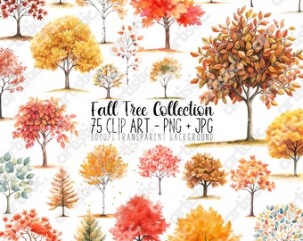 Watercolor Fall Tree Clipart Bundle: 75 Autumn PNG Files (Digital Download)