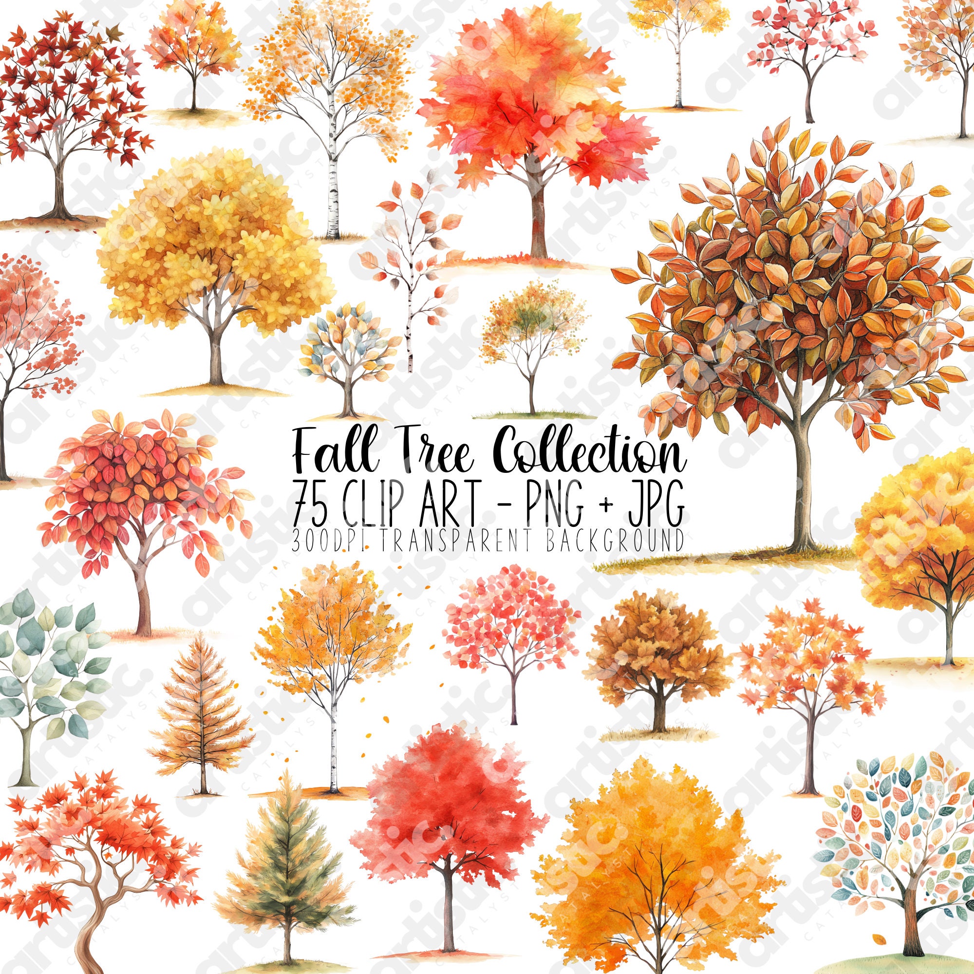 Watercolor Fall Tree Clipart Bundle: 75 Autumn PNG Files (digital ...