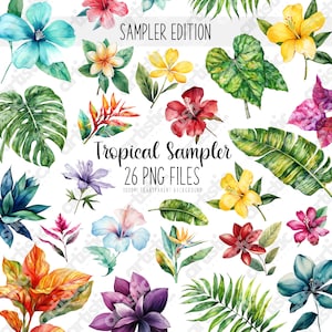 Tropical Clipart Bundle- Watercolor Tropical Prints, 26 PNG Image Files, Summer Decor, Perfect for Planner Stickers, Scrapbooking