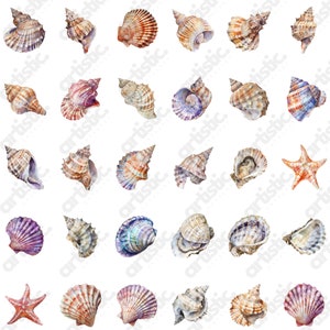 Elegant ensemble of Goodnotes Sticker and Printable Images PNG, showcasing various sea creatures in a cohesive layout
