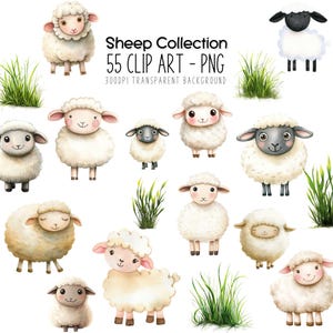 Pacchetto di clipart di pecore - Grazioso animale da fattoria acquerello di pecore per decorazioni per la cameretta dei bambini, feste di compleanno, sublimazione, creazione di biglietti e altro ancora