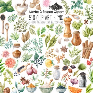 Kräuter und Gewürze Clipart PNG Bundle Aquarell Kulinarische Kräuter Küche Dekor Etiketten Gläser Flaschen Chef Art Printable Kochen Illustration