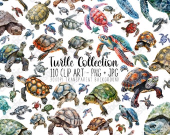 May include: A collection of 110 watercolor illustrations of turtles in various poses and colors. The turtles are on a white background. The text "Turtle Collection 110 Clip Art - PNG + JPG 300DPI Transparent Background" is at the bottom of the image.