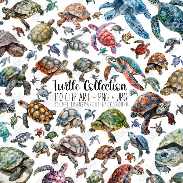 Turtle Clip Art - Etsy