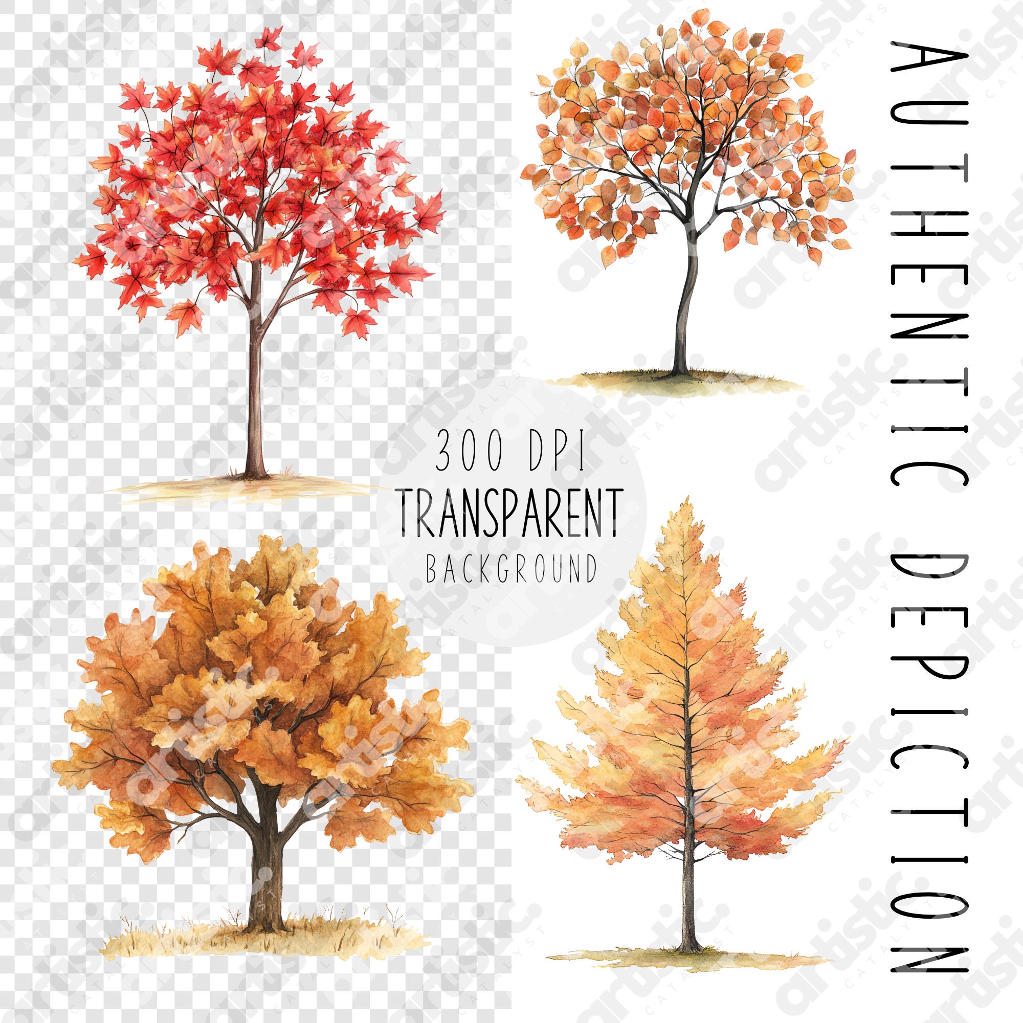 Watercolor Fall Tree Clipart Bundle: 75 Autumn PNG Files (digital ...