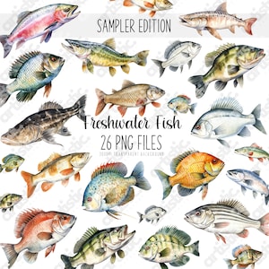 Freshwater Fish Clipart Bundle - Watercolor Game Fish Art, Bass, Trout, Fisherman Clipart, Digital Fish Illustrations, Fishing Graphics