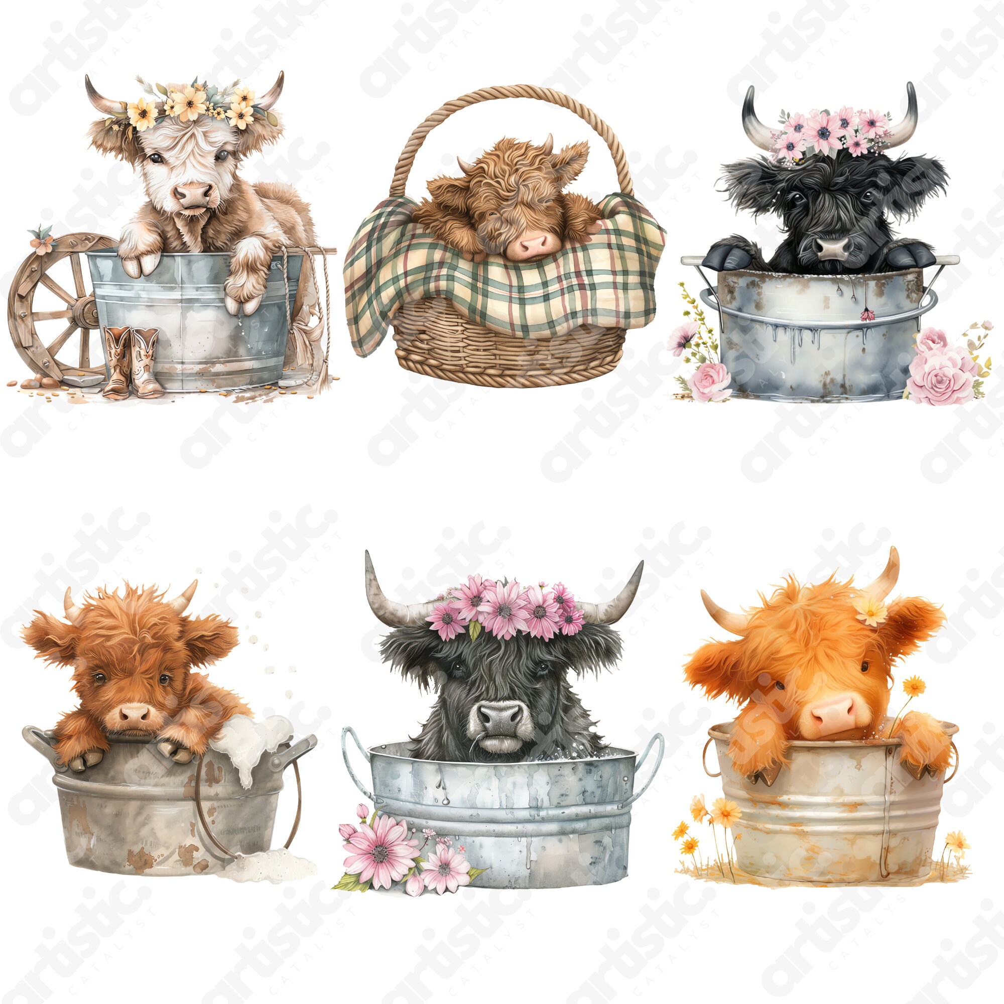 Highland Cow Watercolor Clipart Bundle: Rustic Farmhouse PNG JPG ...