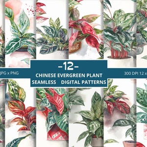 Papiers numériques sans couture chinois à feuilles persistantes, usage commercial, création de motifs, motifs chinois à feuilles persistantes, motif numérique chinois à feuilles persistantes