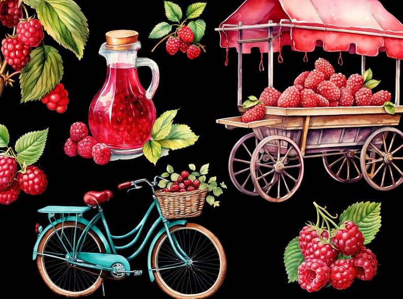 Vintage Raspberry Themed Decor Watercolor Raspberry Clipart: 130 PNG Foodie Graphics (digital Download ...