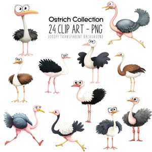 Struisvogel clipart bundel - grappige boerderij vogels kwekerij decor aquarel PNG boerenerf baby's schattige baby vogels rennende vogel Farmcore