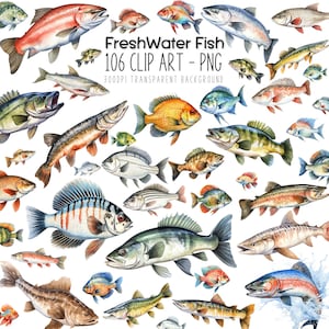 Fisch-Clipart-Sammlung: 106 Angeln Clipart PNG-Bilder mit Süßwasserfisch, Beta Fisch PNG und mehr!