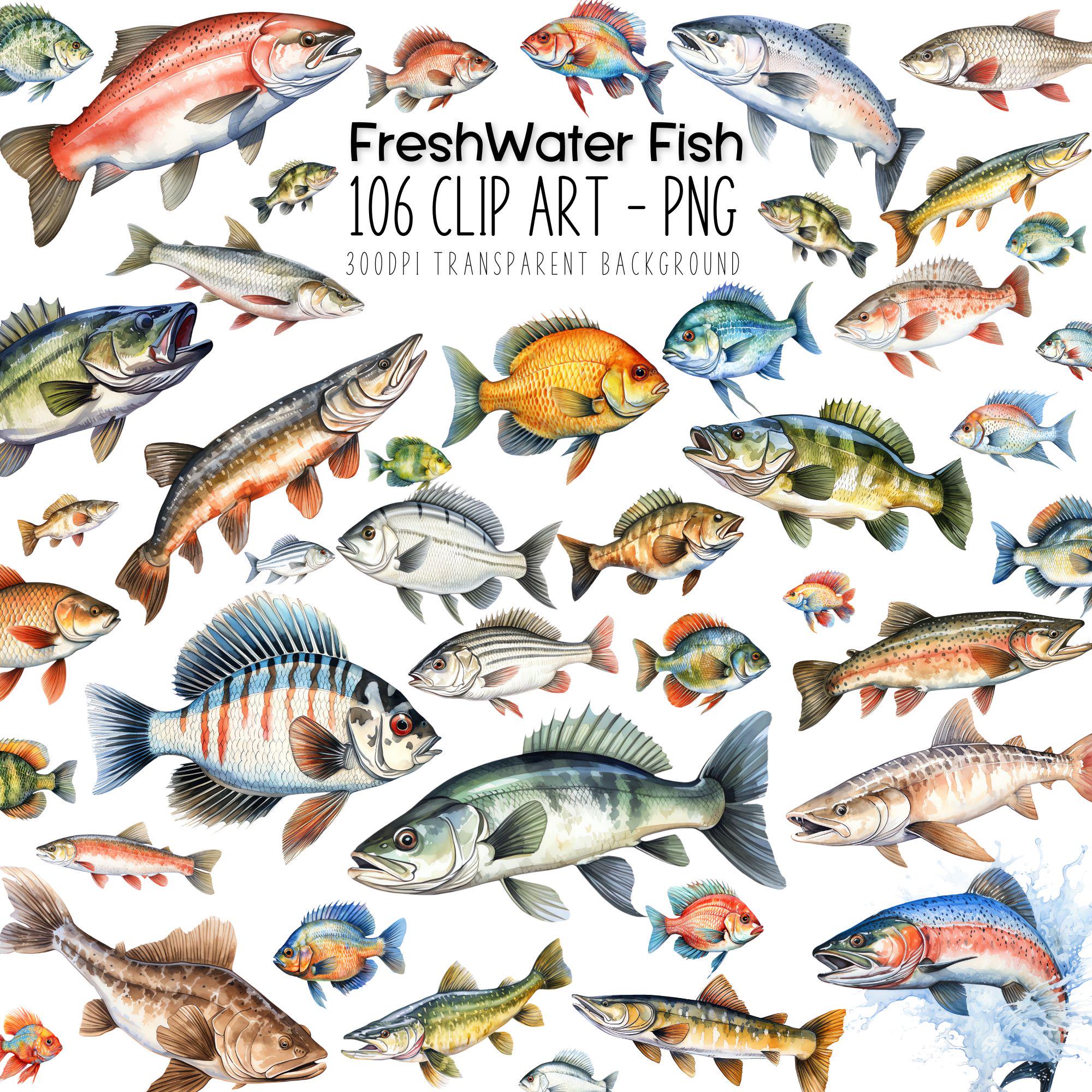 Fish Clipart Collection: 106 Watercolor PNG Images (Digital Download)