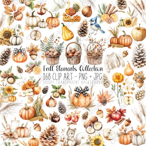 Puede incluir: Una colección de 168 ilustraciones de acuarela con elementos otoñales. Las ilustraciones incluyen calabazas, calabacines, bellotas, hojas, piñas, manzanas, girasoles, una ardilla, un arrendajo azul, un pavo, un suéter y una cesta de nueces. Las ilustraciones están sobre un fondo blanco.