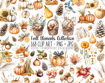 Autumn Watercolor Clipart Bundle: 168 Fall Pumpkins, Plaid Bows (PNG Images)