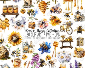 Watercolor Bee Clipart Bundle: Honeycomb, Flowers (Digital Download)