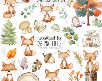 Bundle de cliparts renard : 26 images PNG d'aquarelle d'animaux des bois