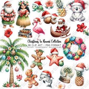 Collection de cliparts hawaïens | Clipart Hawaï | Fleurs tropicales et thèmes de Noël à Hawaï | Fichiers PNG de découpage numérique