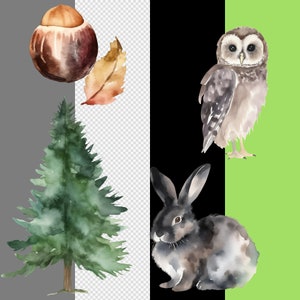 Distinct Baby Clip art and Baby Shower Clipart on varied backgrounds: green, black, gray, and transparent, showcasing versatile Woodland Animals design.